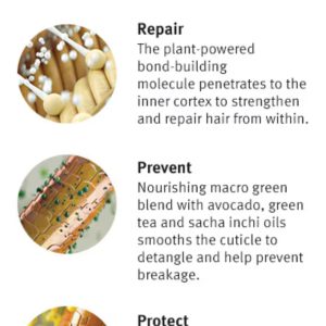 کرم مو ترمیم کننده اودا