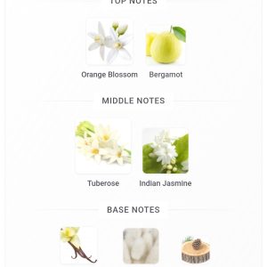 عطر زنانه جورجیو ارمانی مای وی 10 میل